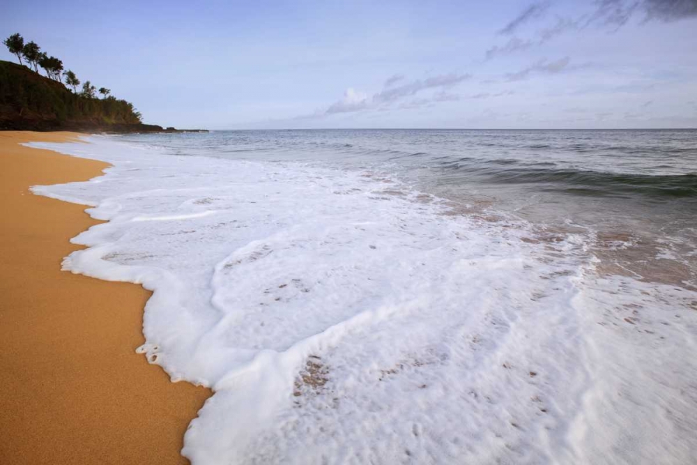 Wall Art Painting id:127514, Name: USA, Hawaii, Kauai Scenic of Secret Beach, Artist: Flaherty, Dennis