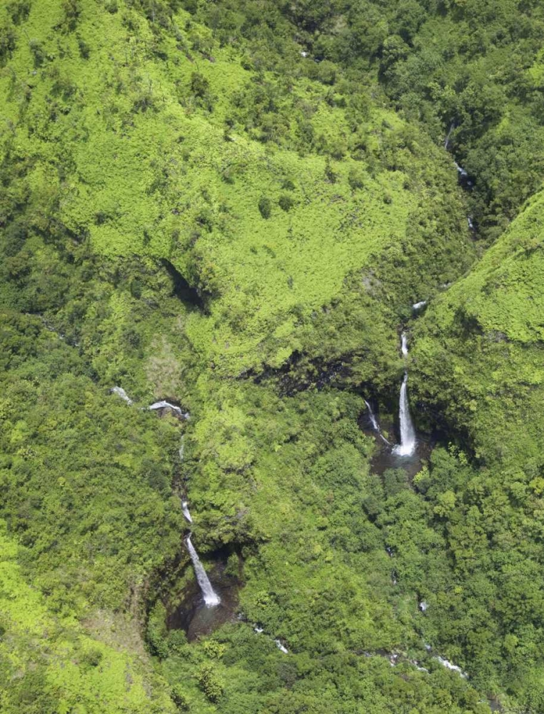 Wall Art Painting id:127635, Name: USA, Hawaii, Kauai Aerial view of waterfalls, Artist: Flaherty, Dennis