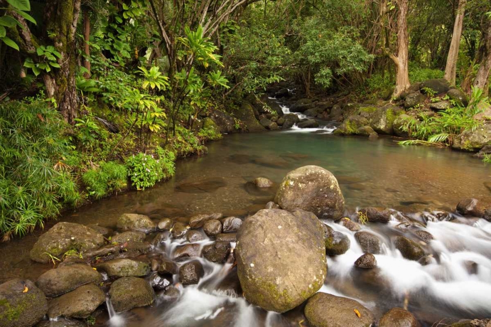 Wall Art Painting id:127711, Name: Hawaii, Kauai Creek flowing from a rainforest, Artist: Flaherty, Dennis