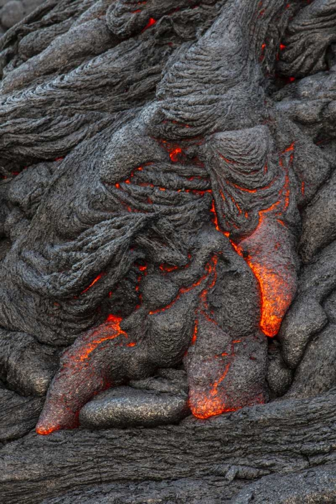 Wall Art Painting id:128821, Name: Hawaii, Kilauea Molten lava hardening, Artist: Illg, Cathy and Gordon