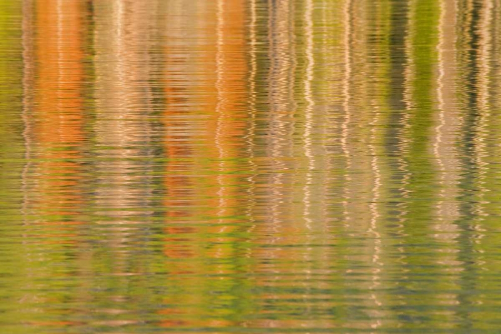 Art Print: USA, Idaho Reflections on Redfish Lake