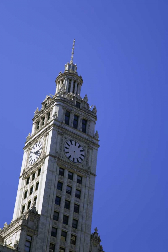 Wall Art Painting id:127801, Name: USA, Illinois, Chicago Top of Wrigley Building, Artist: Flaherty, Dennis