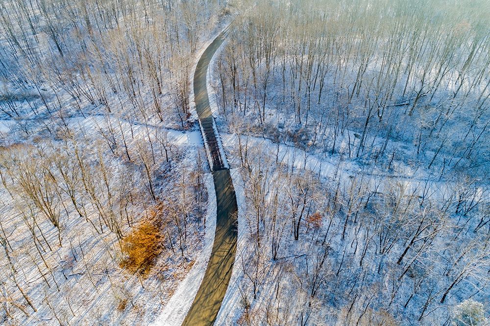 Wall Art Painting id:405505, Name: Aerial view of forest and road after snowfall in winter Stephen A Forbes State Recreation Area, Artist: Day, Richard and Susan