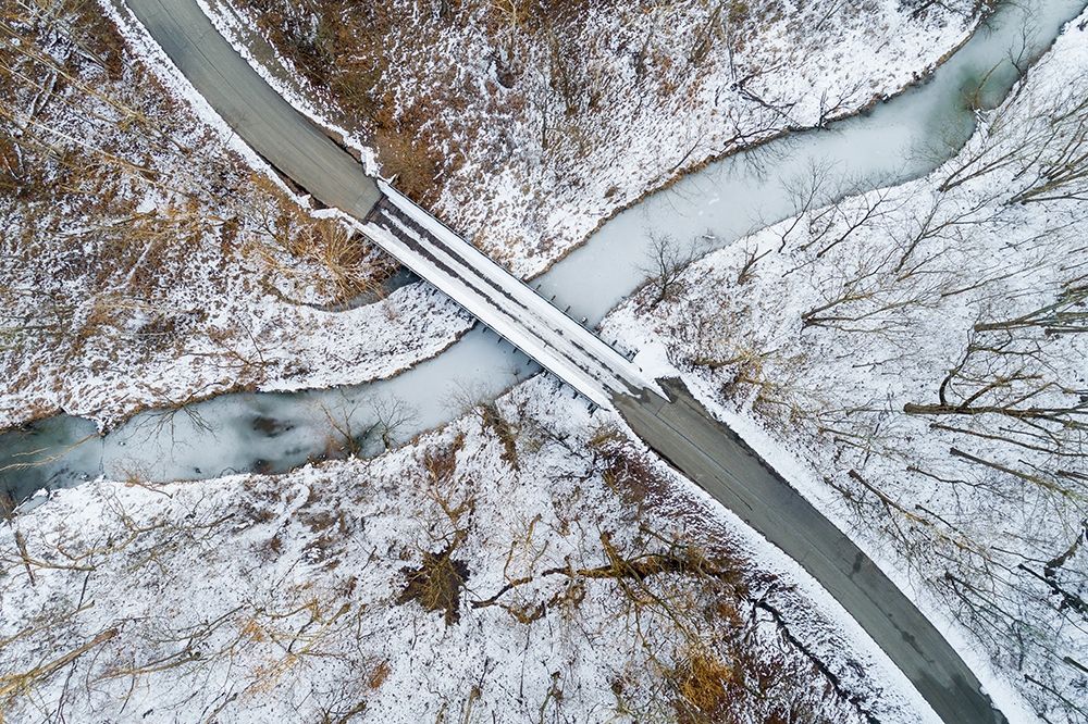 Wall Art Painting id:405506, Name: Aerial view of winter forest-bridge-and creek Stephen A Forbes State Park-Marion County-Illinois, Artist: Day, Richard and Susan