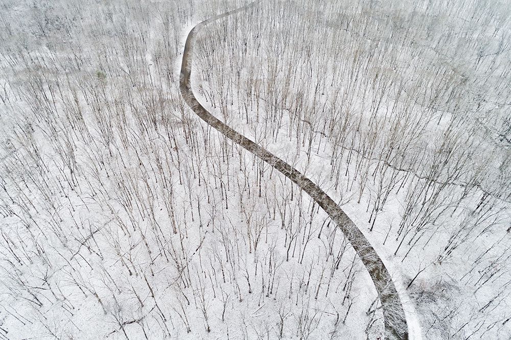 Wall Art Painting id:519668, Name: Aerial view of a fresh snow over the forest and road-Marion County-Illinois, Artist: Day, Richard and Susan