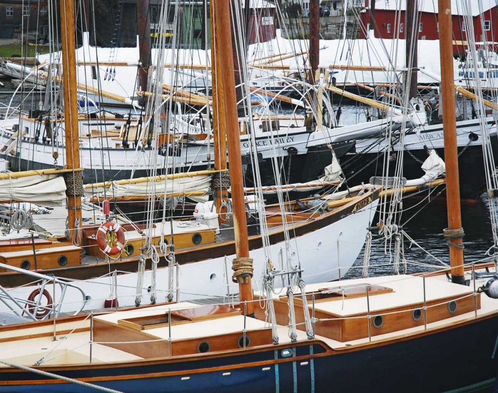 Wall Art Painting id:135426, Name: USA, Maine, Camden Sailboats in harbor, Artist: Terrill, Steve