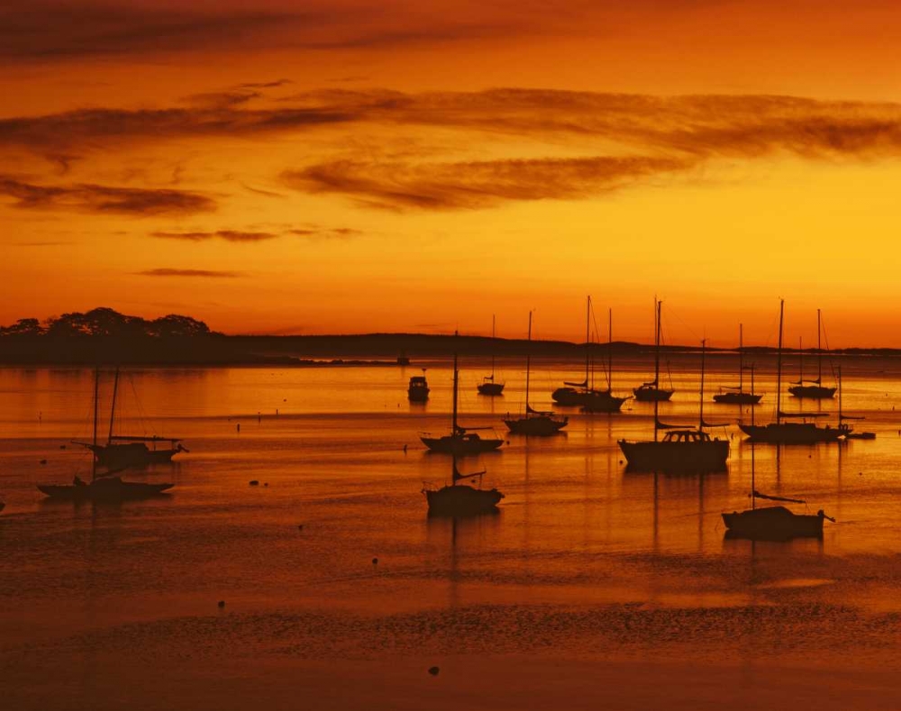 Wall Art Painting id:135536, Name: ME, Camden Sailboats silhouetted at sunrise, Artist: Terrill, Steve