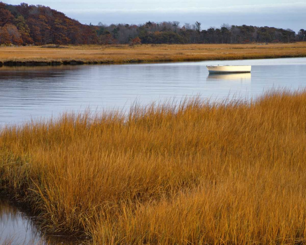 Wall Art Painting id:135453, Name: USA, Maine Boat anchored in Mousam River, Artist: Terrill, Steve