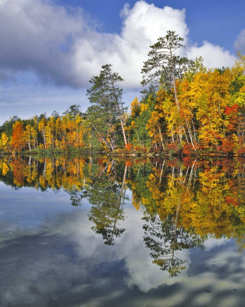 Wall Art Painting id:135554, Name: USA, Maine Autumn scenic of Upper Togue Pond, Artist: Terrill, Steve