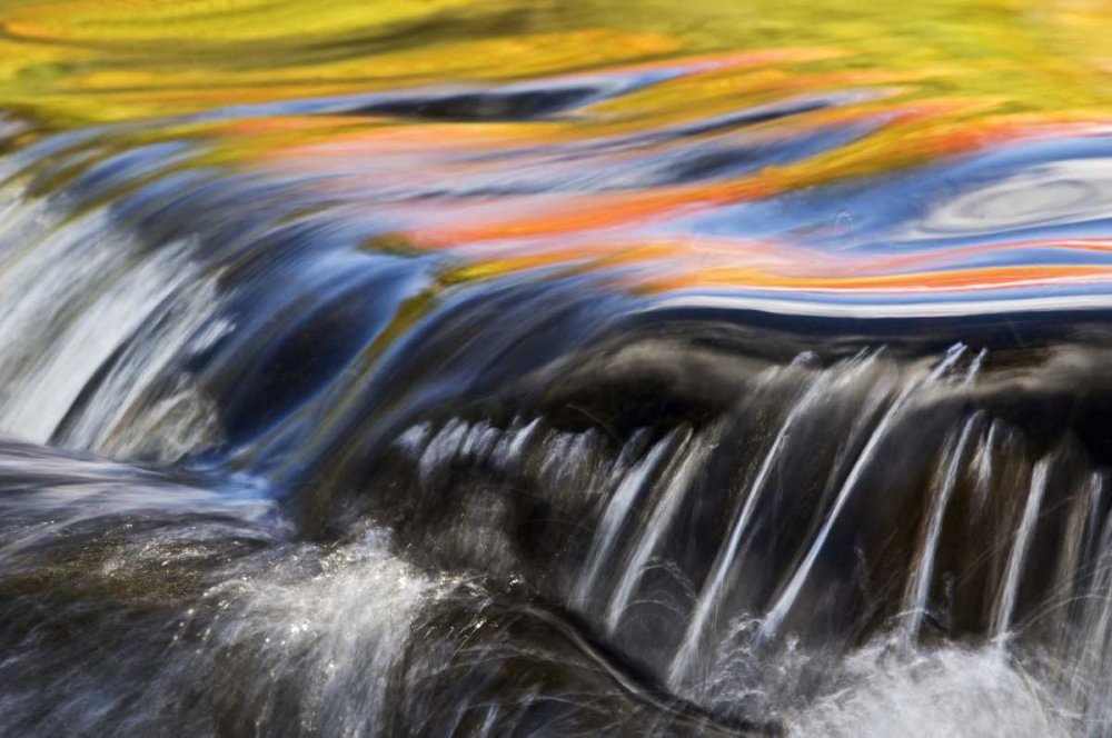 Wall Art Painting id:133747, Name: Michigan Fall reflections at Bond Falls, Artist: Rotenberg, Nancy