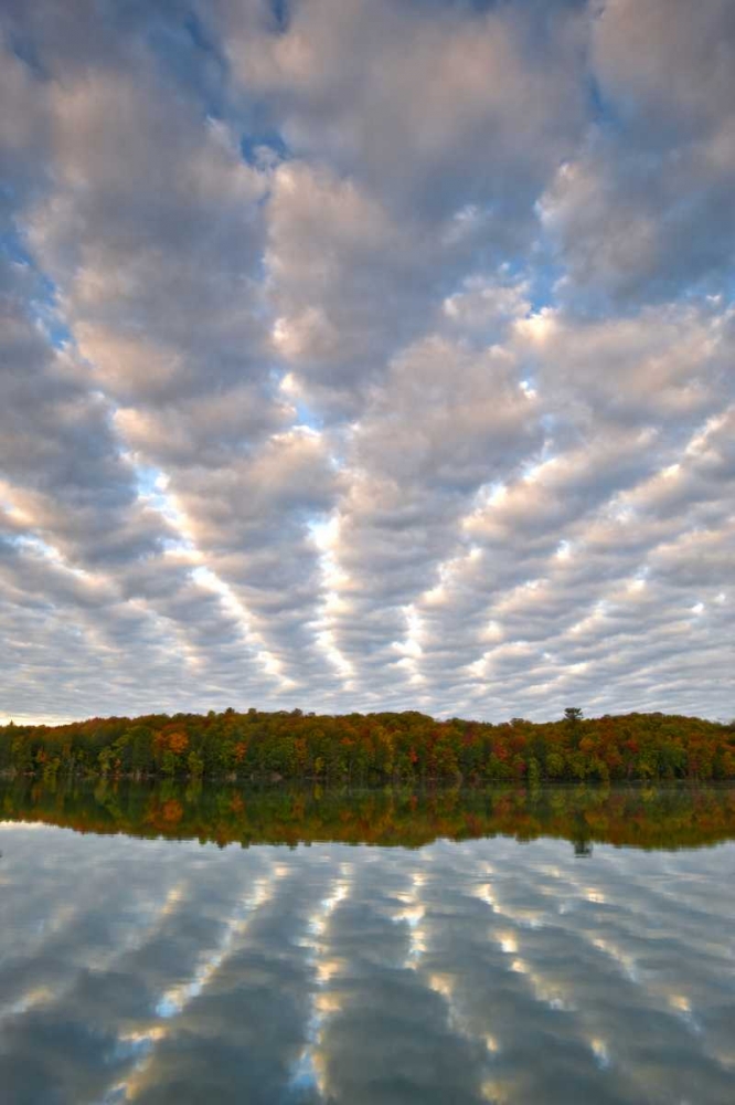 Wall Art Painting id:133819, Name: Michigan Clouds over Petes Lake in autumn, Artist: Rotenberg, Nancy