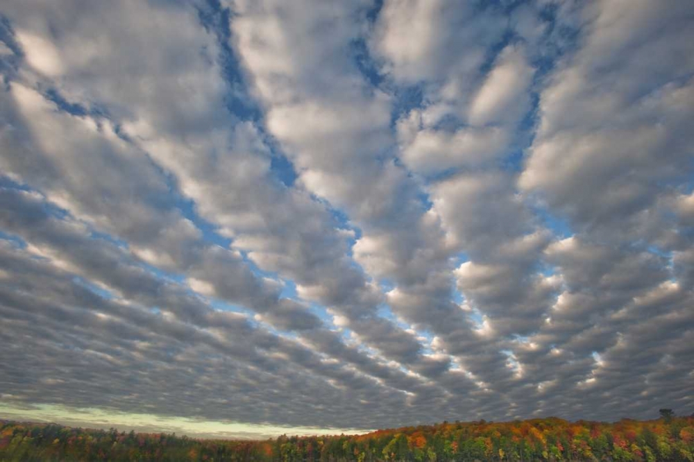 Wall Art Painting id:133820, Name: Michigan Clouds over Petes Lake in autumn, Artist: Rotenberg, Nancy