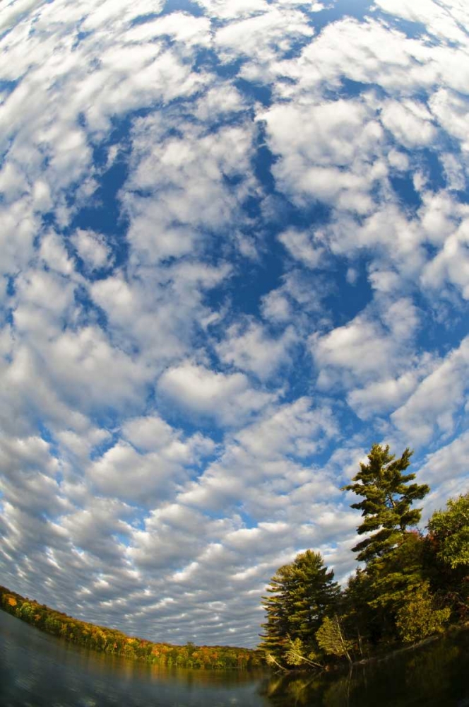 Wall Art Painting id:133768, Name: Michigan Clouds at Petes Lake in autumn, Artist: Rotenberg, Nancy