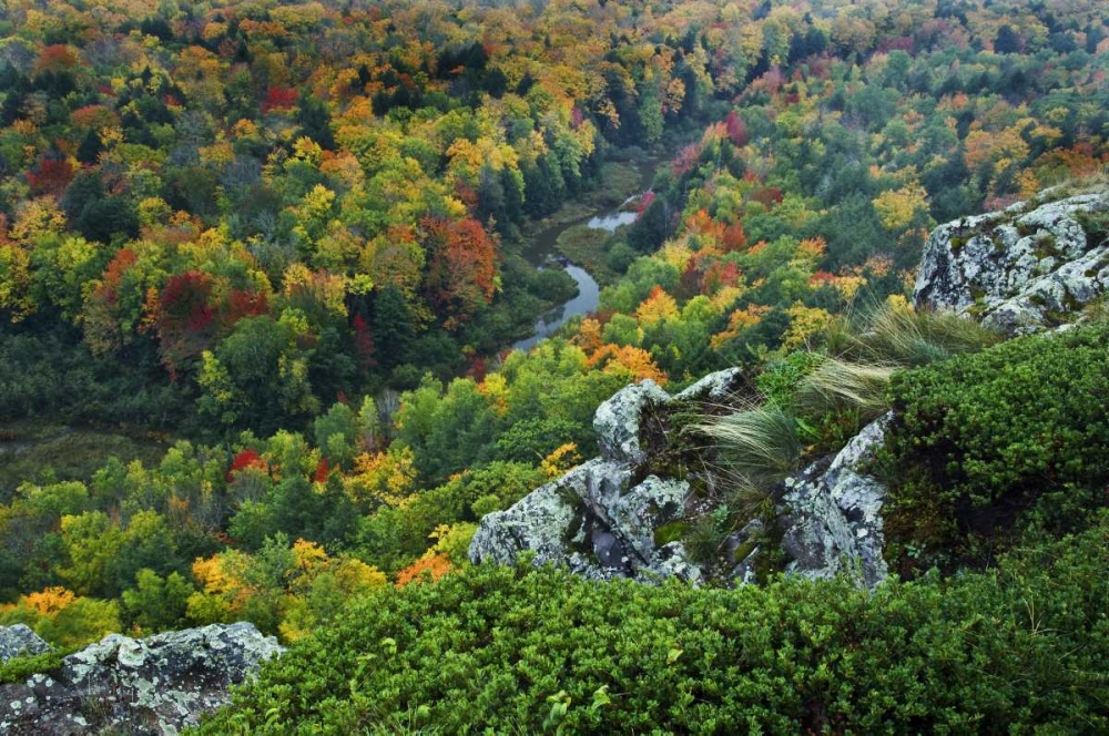 Wall Art Painting id:133739, Name: USA, Michigan River in autumn landscape, Artist: Rotenberg, Nancy