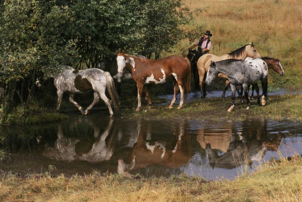 Similar wall art painting: 126980