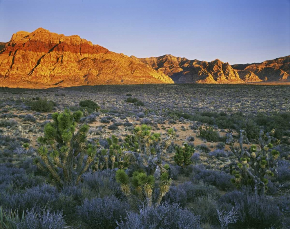 Wall Art Painting id:127458, Name: Nevada, Red Rock Canyon Sunset on hills, Artist: Flaherty, Dennis