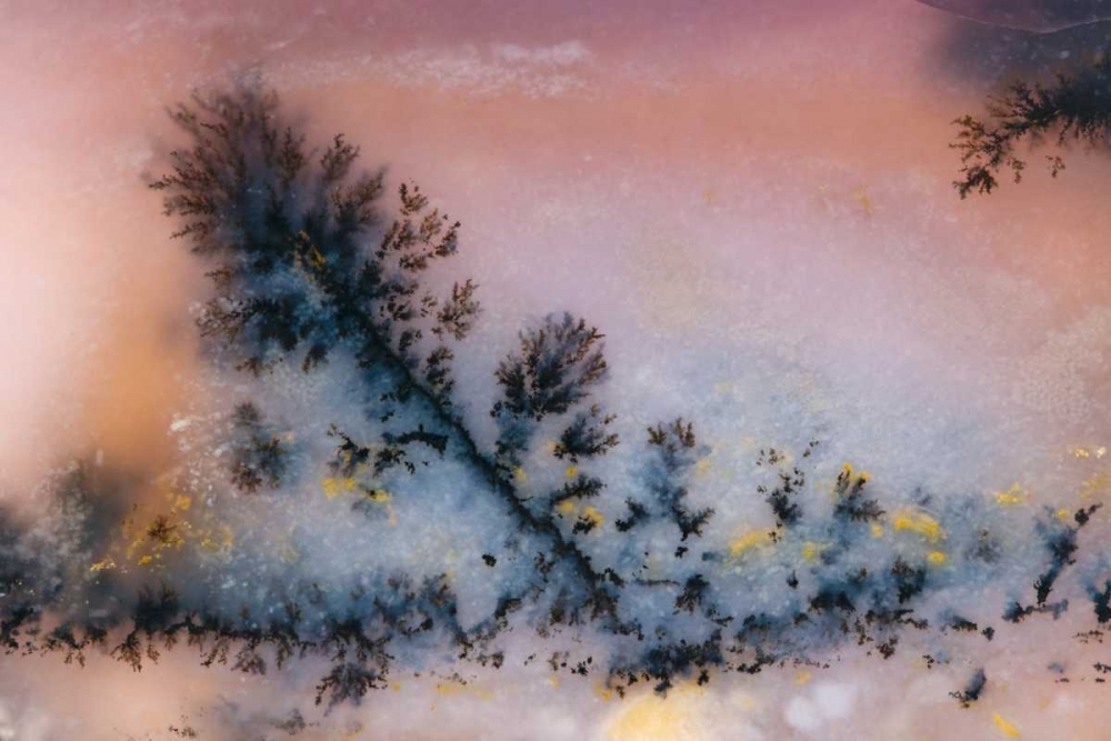 Wall Art Painting id:130716, Name: USA, Nevada Close-up of amethyst sage agate, Artist: Kirkland, Dennis