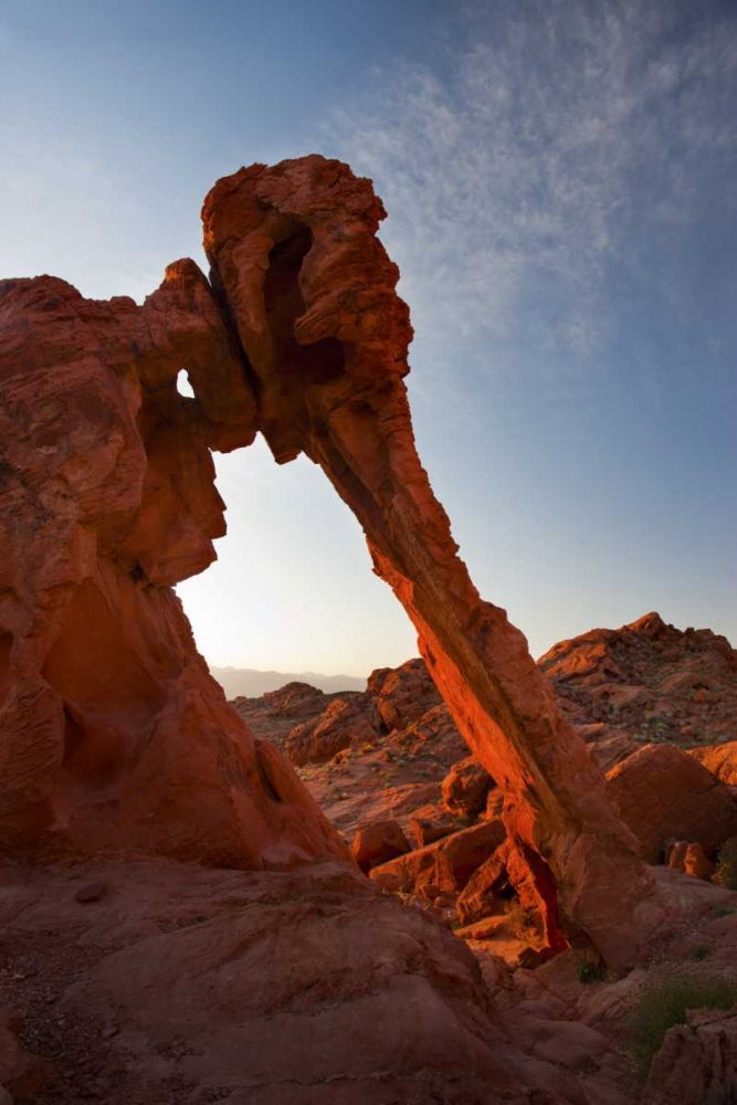 Wall Art Painting id:128383, Name: Nevada, Valley of Fire SP View of Elephant Rock, Artist: Grall, Don