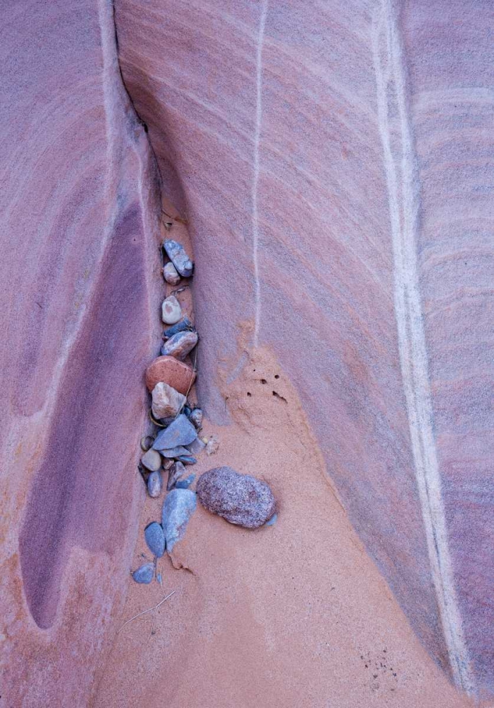 Wall Art Painting id:127250, Name: Nevada, Valley of Fire SP Eroded rock, Artist: Delisle, Gilles