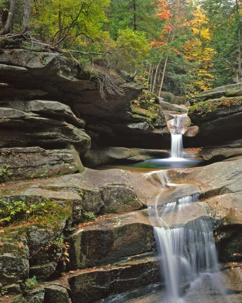 Wall Art Painting id:135700, Name: New Hampshire, White Mountains NF Sabbady Falls, Artist: Terrill, Steve