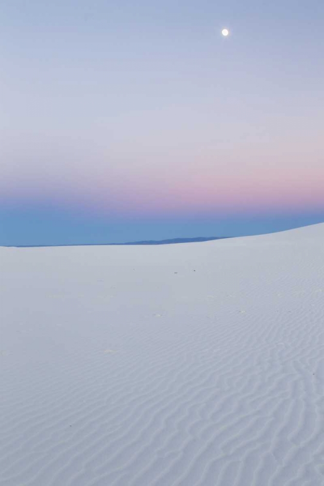 Wall Art Painting id:129052, Name: New Mexico, White Sands NM Moon over desert, Artist: Illg, Cathy and Gordon
