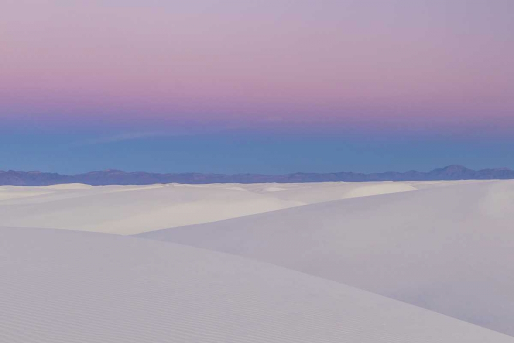 Wall Art Painting id:129053, Name: New Mexico, White Sands NM Desert at sunset, Artist: Illg, Cathy and Gordon