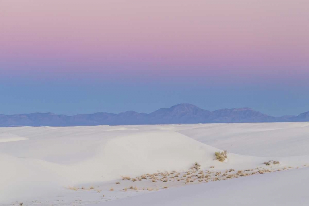 Wall Art Painting id:129055, Name: New Mexico, White Sands NM Desert at sunset, Artist: Illg, Cathy and Gordon