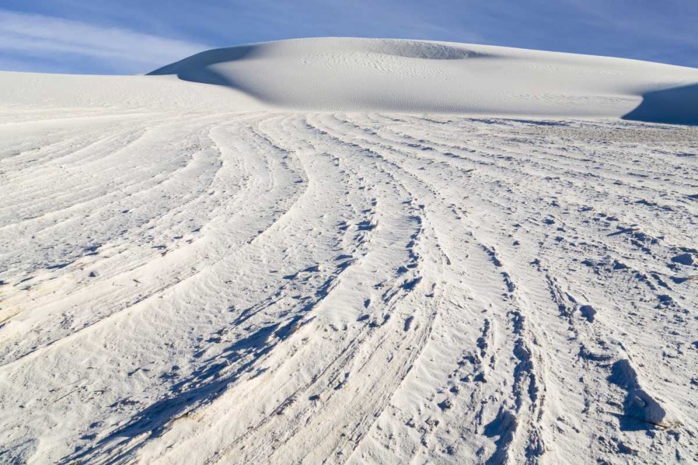 Wall Art Painting id:132280, Name: New Mexico, White Sands NM Desert landscape, Artist: Paulson, Don