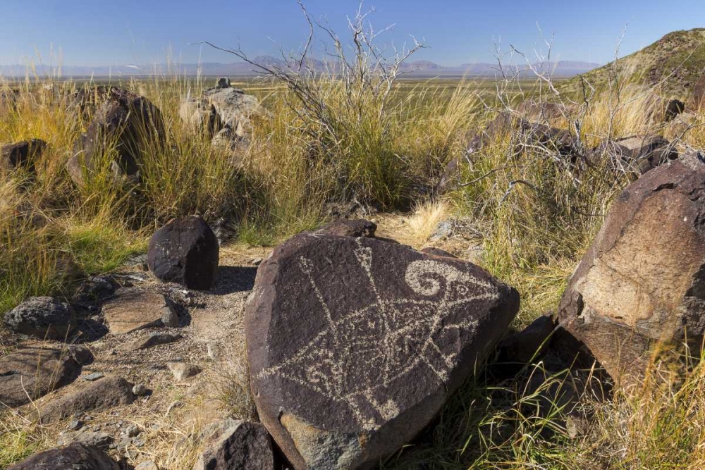 Wall Art Painting id:132323, Name: New Mexico, Three Rivers, Petroglyph on rock, Artist: Paulson, Don