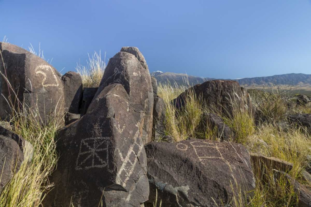 Wall Art Painting id:132495, Name: New Mexico, Three Rivers Petroglyph etchings, Artist: Paulson, Don