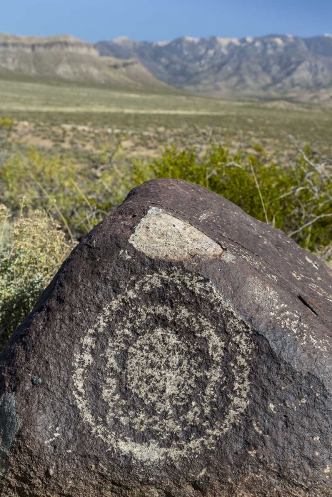 Wall Art Painting id:132324, Name: New Mexico, Three Rivers, Petroglyph on rock, Artist: Paulson, Don