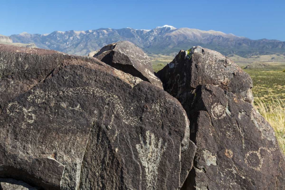 Wall Art Painting id:132496, Name: New Mexico, Three Rivers Petroglyph etchings, Artist: Paulson, Don