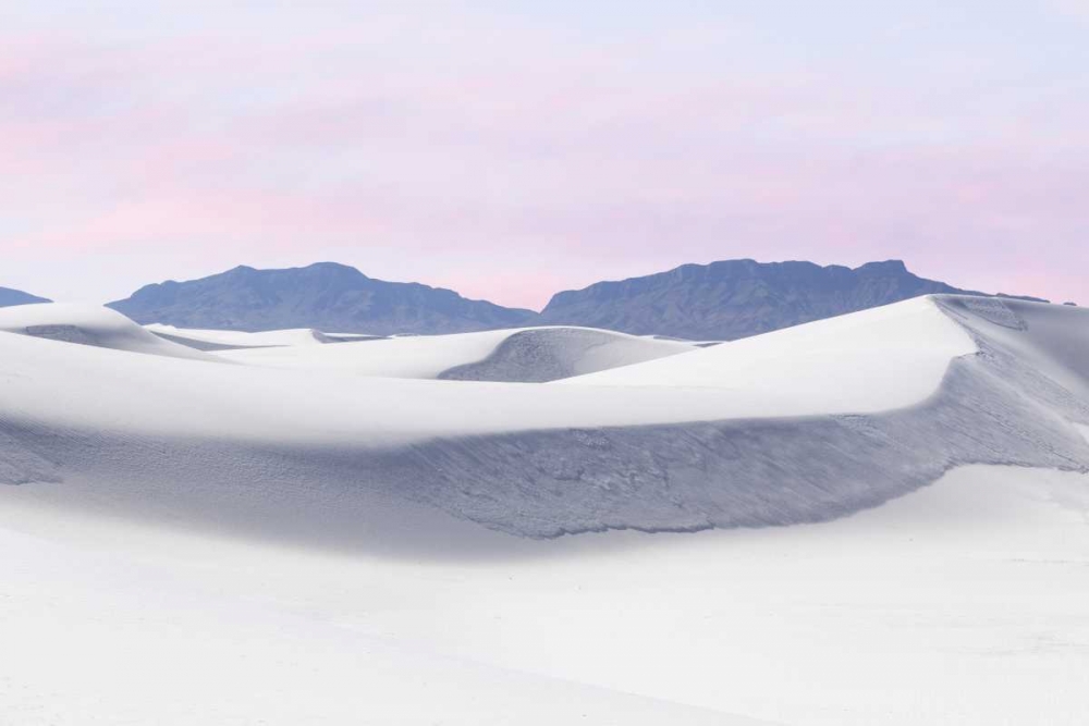 Wall Art Painting id:132281, Name: New Mexico, White Sands NM Desert landscape, Artist: Paulson, Don