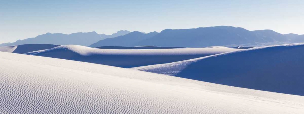 Wall Art Painting id:132283, Name: New Mexico, White Sands NM Desert landscape, Artist: Paulson, Don