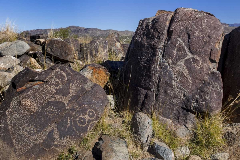 Wall Art Painting id:132497, Name: New Mexico, Three Rivers Petroglyph etchings, Artist: Paulson, Don