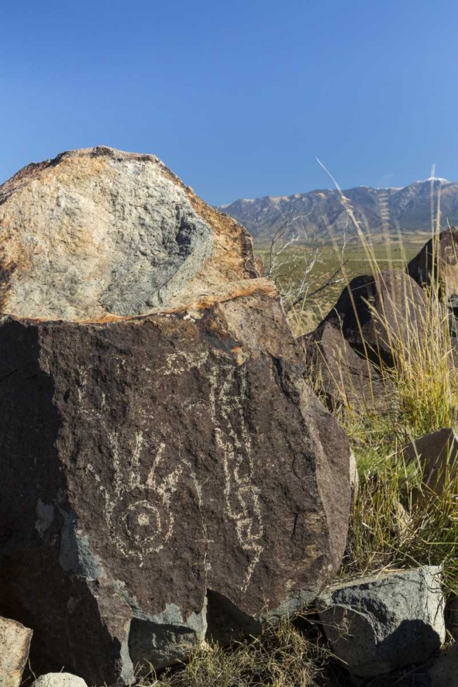 Wall Art Painting id:132498, Name: New Mexico, Three Rivers Petroglyph etchings, Artist: Paulson, Don