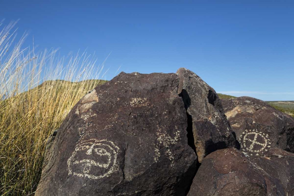 Wall Art Painting id:132499, Name: New Mexico, Three Rivers Petroglyph etchings, Artist: Paulson, Don