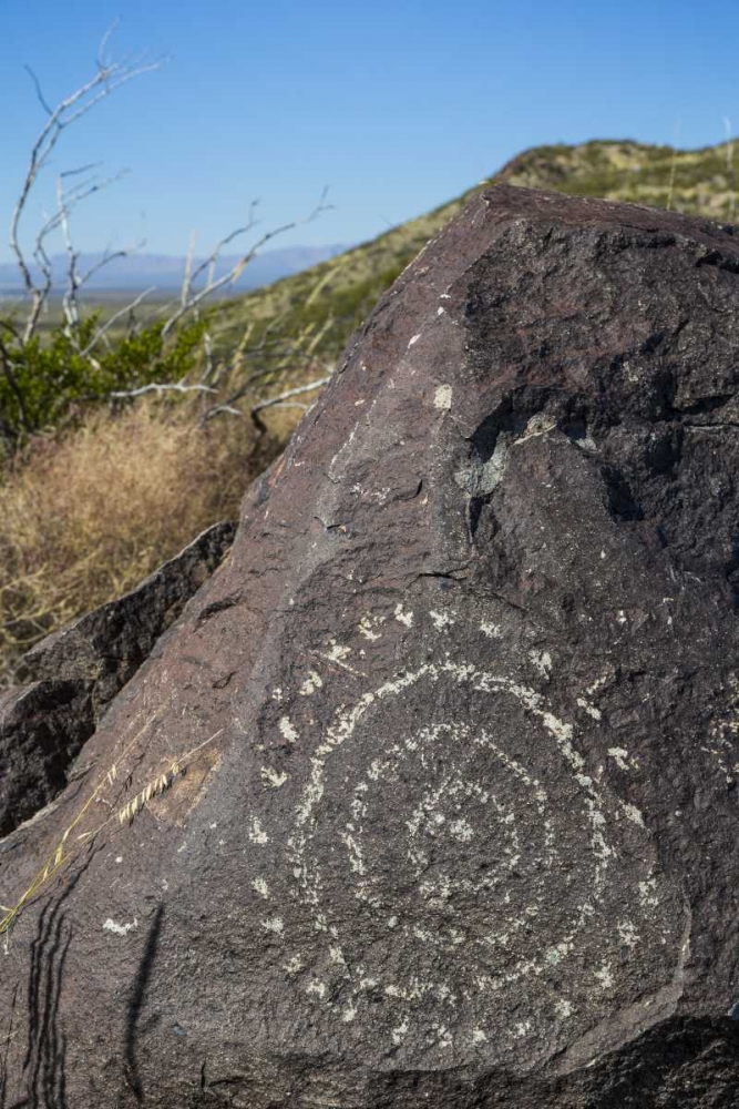 Wall Art Painting id:132326, Name: New Mexico, Three Rivers, Petroglyph on rock, Artist: Paulson, Don