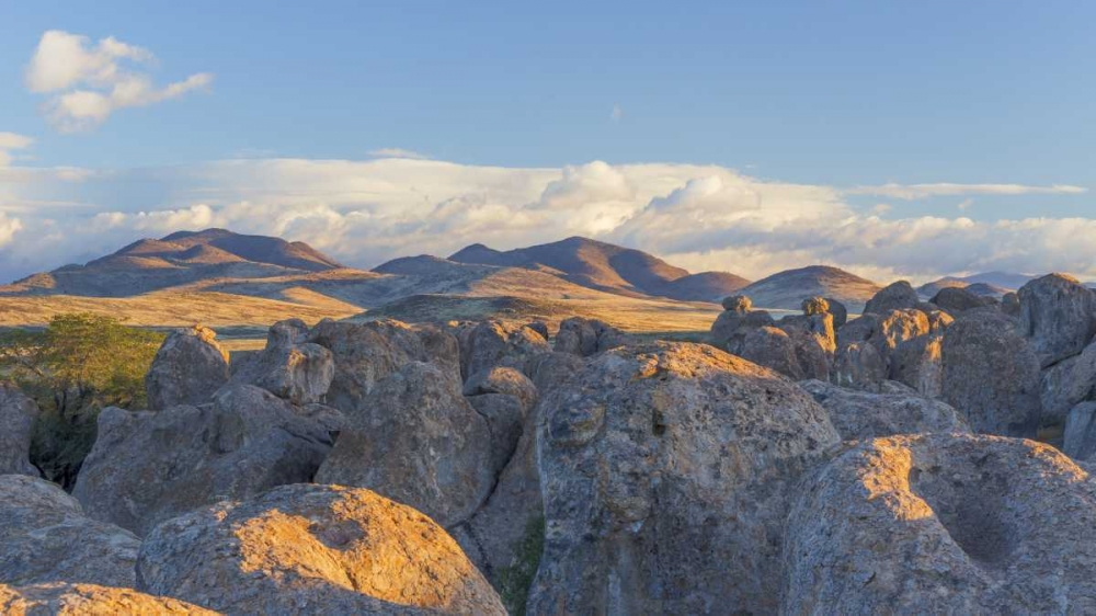 Wall Art Painting id:133216, Name: New Mexico, City of Rocks Landscape of boulders, Artist: Paulson, Don