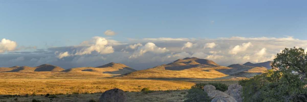 Wall Art Painting id:133440, Name: New Mexico, City of Rocks SP Panoramic composite, Artist: Paulson, Don