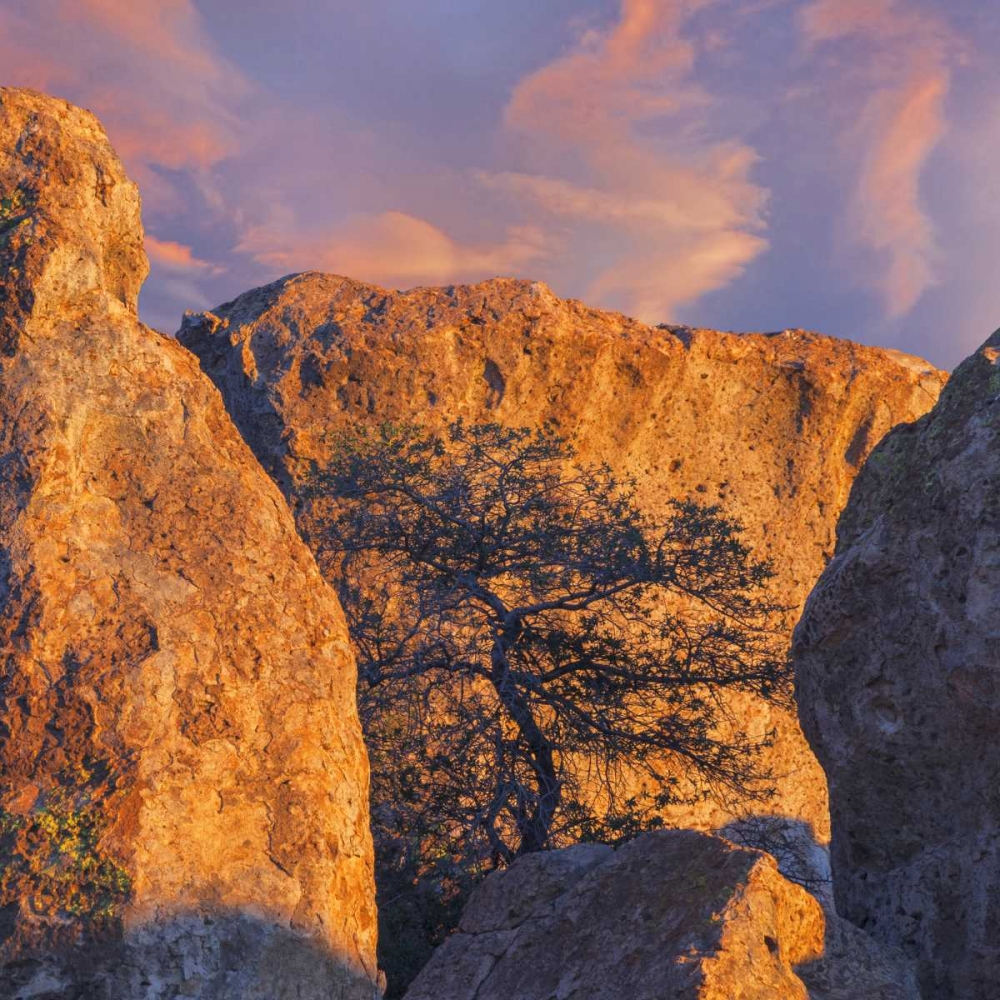 Wall Art Painting id:133180, Name: New Mexico, City of Rocks SP Sunset on boulders, Artist: Paulson, Don