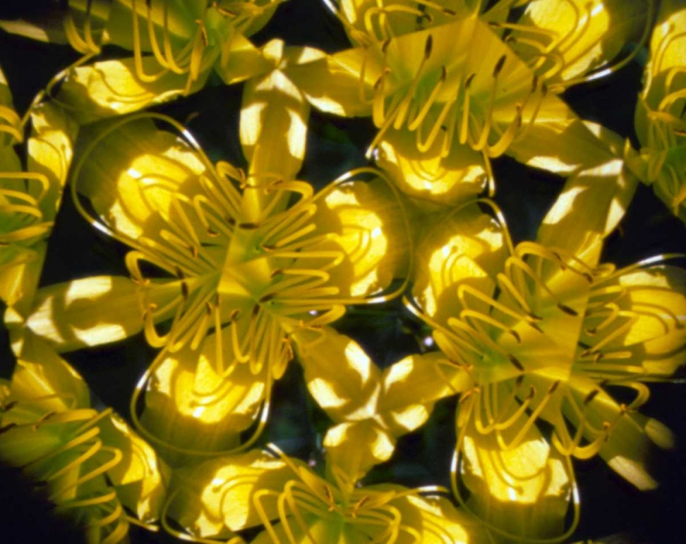 Similar wall art painting: 131318