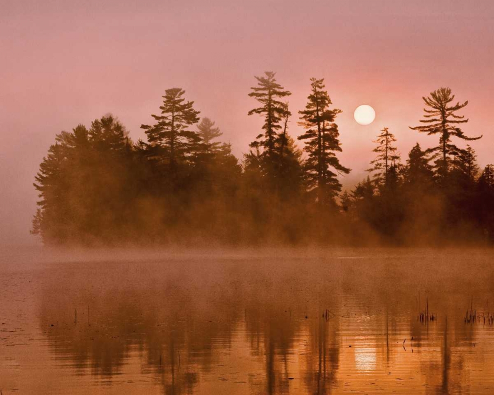 Wall Art Painting id:131614, Name: USA, New York, Adirondack Park Sunrise on a lake, Artist: OBrien, Jay