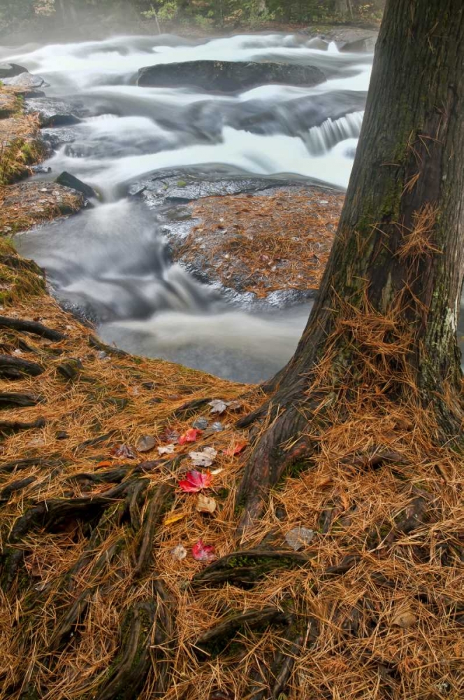 Wall Art Painting id:131494, Name: USA, New York, Inlet Mist over rushing stream, Artist: OBrien, Jay