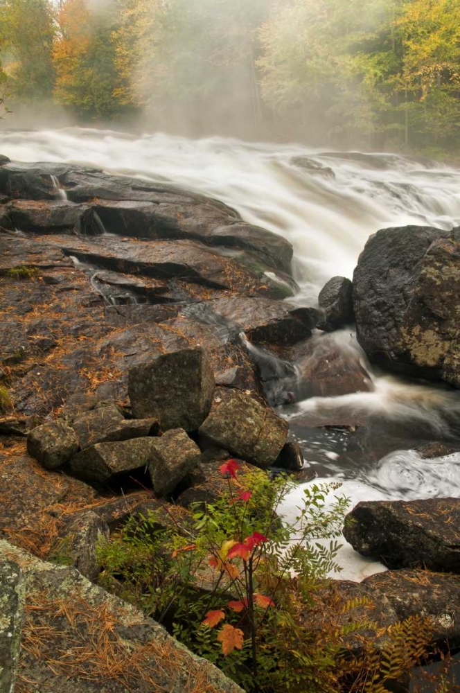 Wall Art Painting id:131495, Name: USA, New York, Inlet Mist over rushing stream, Artist: OBrien, Jay