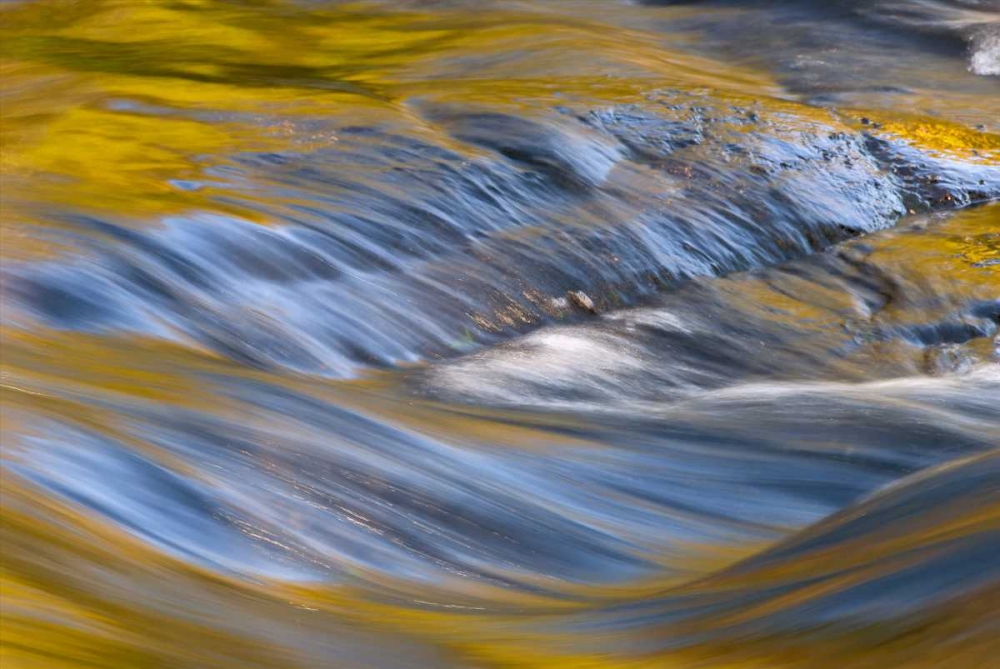Wall Art Painting id:131566, Name: NY, Adirondacks Flowing water on Raquette Lake, Artist: OBrien, Jay