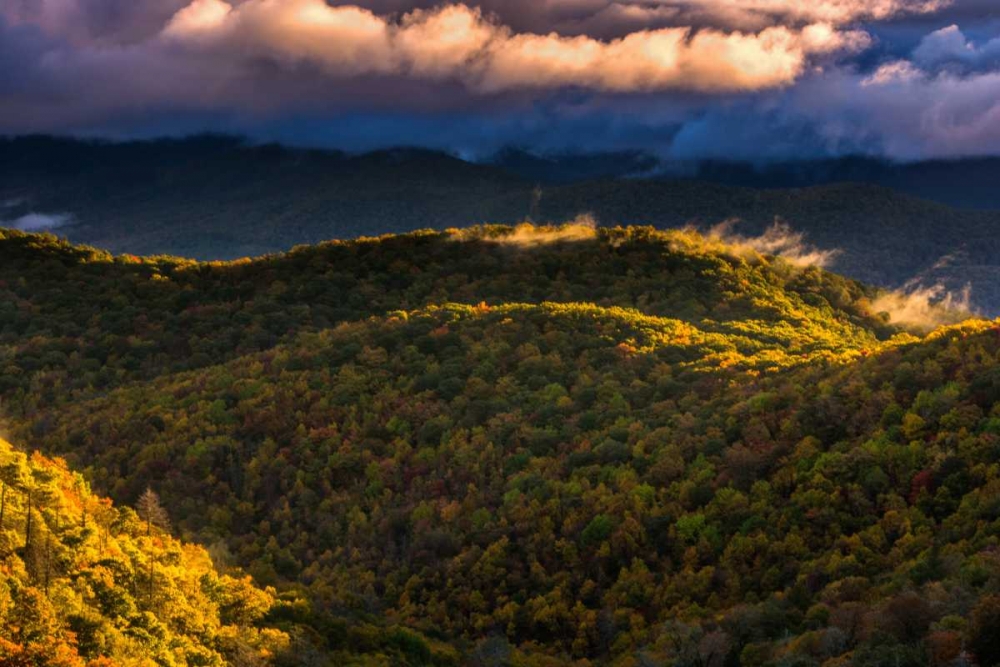 Wall Art Painting id:131426, Name: NC, Brevard Autumn landscape in Pisgah NF, Artist: OBrien, Jay