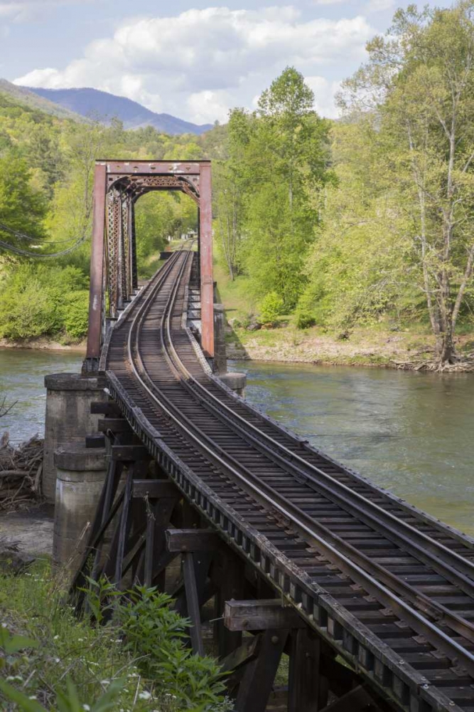 Wall Art Painting id:128172, Name: North Carolina Abandoned railroad trestle, Artist: Grall, Don