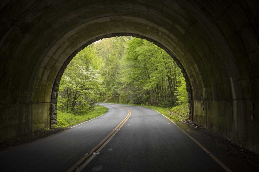 Wall Art Painting id:128355, Name: North Carolina Tunnel on the Blue Ridge Parkway, Artist: Grall, Don