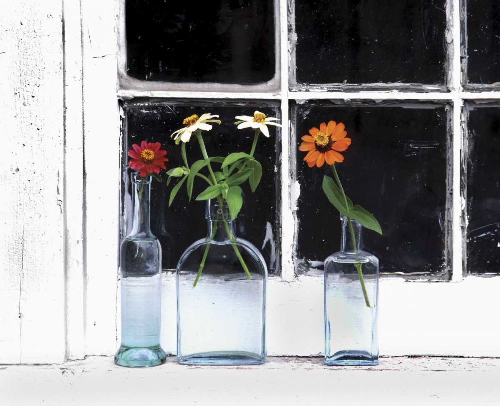 Wall Art Painting id:135555, Name: USA, Oregon, Zinnias in bottles on windowsill, Artist: Terrill, Steve